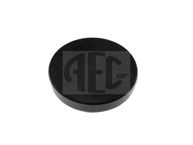 Balance Shaft Plug | Integrale