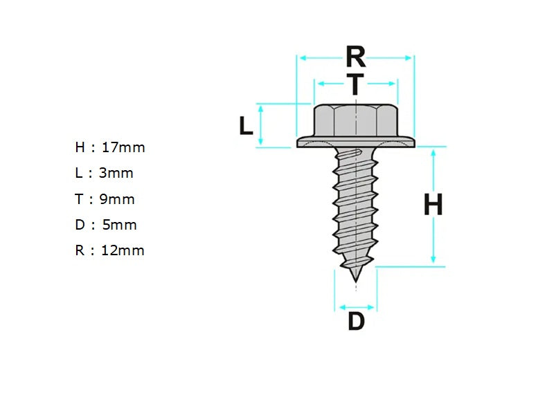 Rear Bumper Mudguard Wheel Arch Screw | Pack of 5