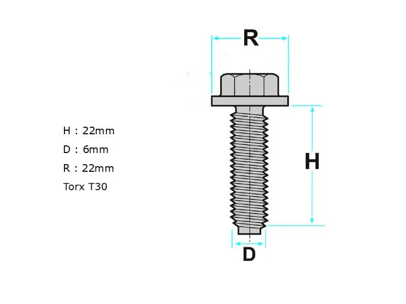 Screw Torx T30 Various