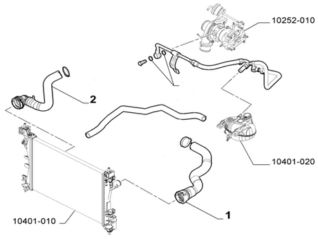 Top Radiator Hose | Punto