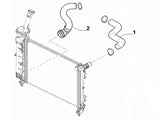 Bottom Radiator Hose | Panda